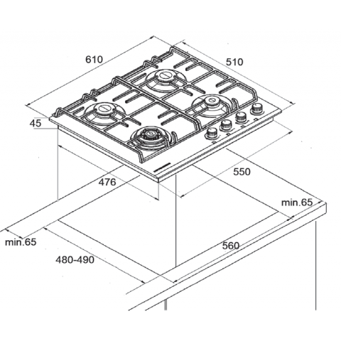 FS 65 Ant