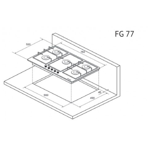 FG 77 W