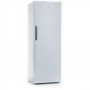 Морозильная камера Indesit IDU 0175